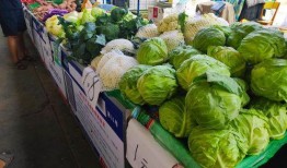 摆摊免费吃瓜,摆摊文化新潮流